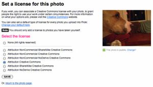Fig. 3 - flickr user choose individual.jpg